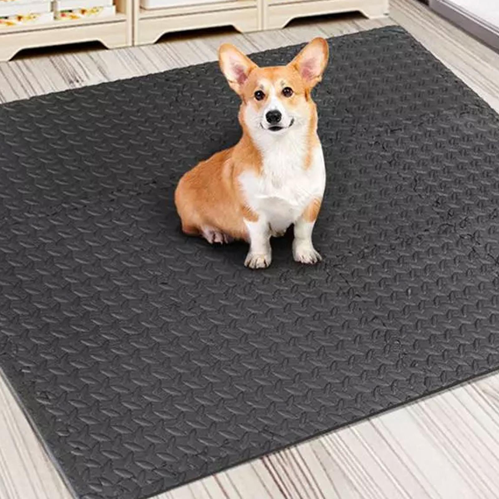 แผ่นปูพื้นยิม 12 ชิ้น แบบต่อกั - Home Gym For Toddlers บทวิจารณ์และราคา