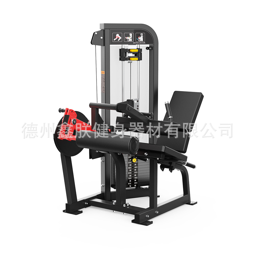 ชุดอุปกรณ์ออกกำลังกายยี่ห้อ Gy - Home Gym Hammer Strength บทวิจารณ์และราคา
