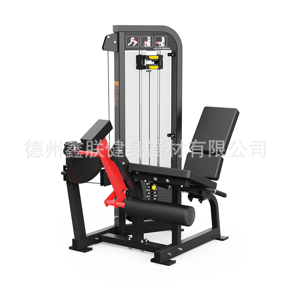 ชุดอุปกรณ์ออกกำลังกายยี่ห้อ Gy - Home Gym Hammer Strength บทวิจารณ์และราคา
