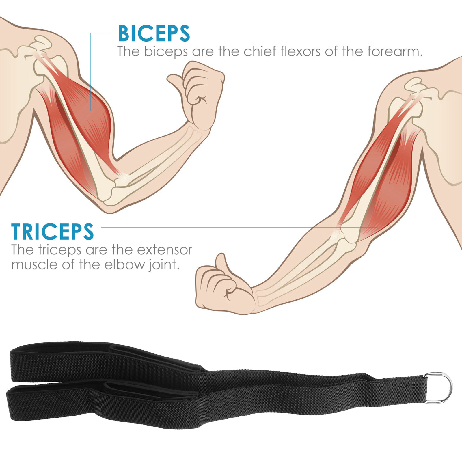เชือกดึงบริหารไตรเซปแบบสองด้าม - Home Gym Hammer Strength บทวิจารณ์และราคา